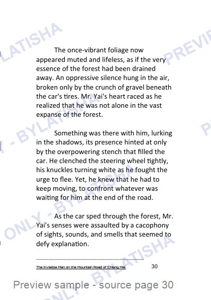 The Invisible Man on the Mountain Road of Chiang Mai preview sample